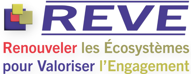 Questionnaire REVE#2