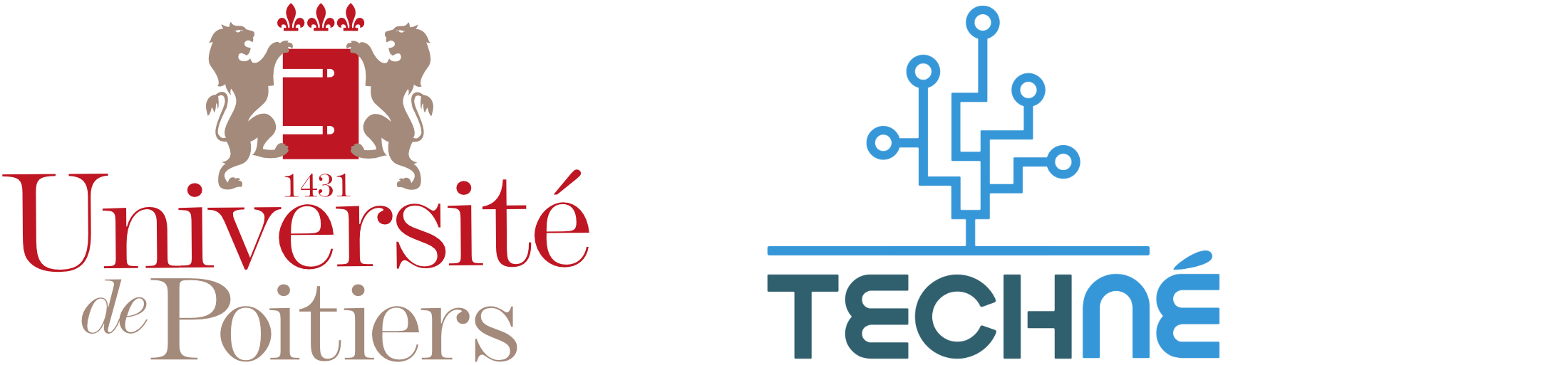 Usages et représentations des IAG